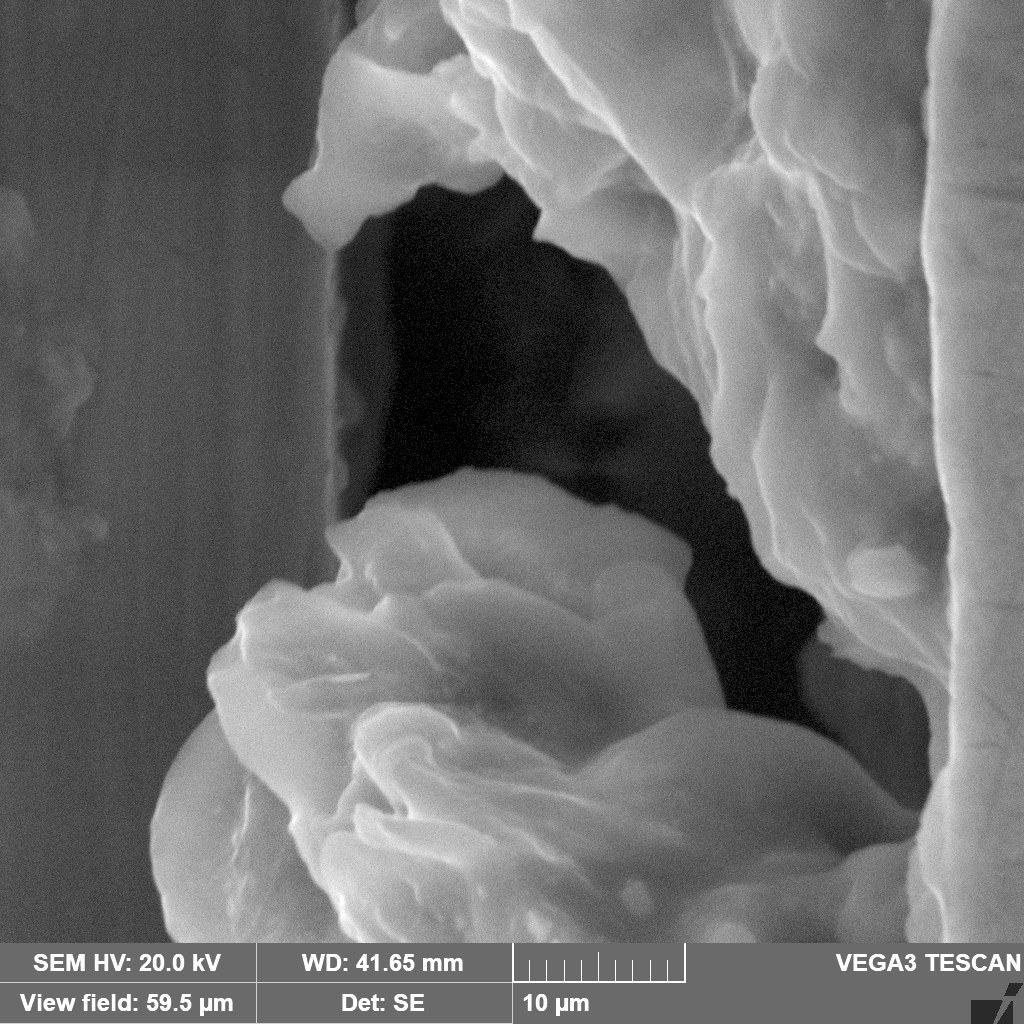 Vacuum cell controller fragment under a microscope, 10 um scale